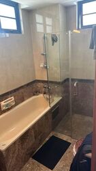 Sanctuary Green (D15), Condominium #585506541